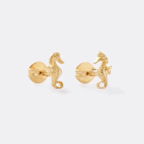 topos estrella de mar